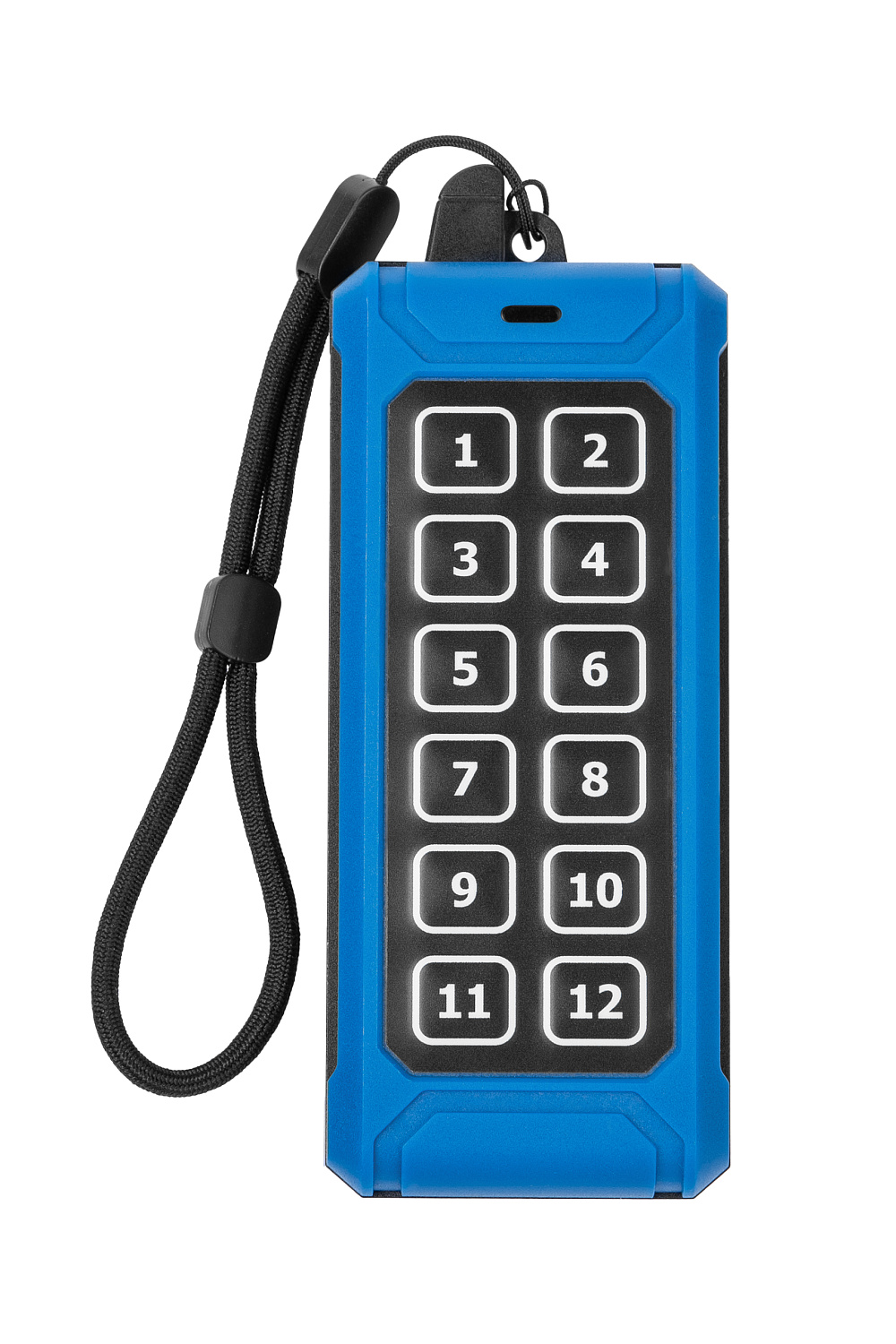 Пульт радиоуправления MICRON