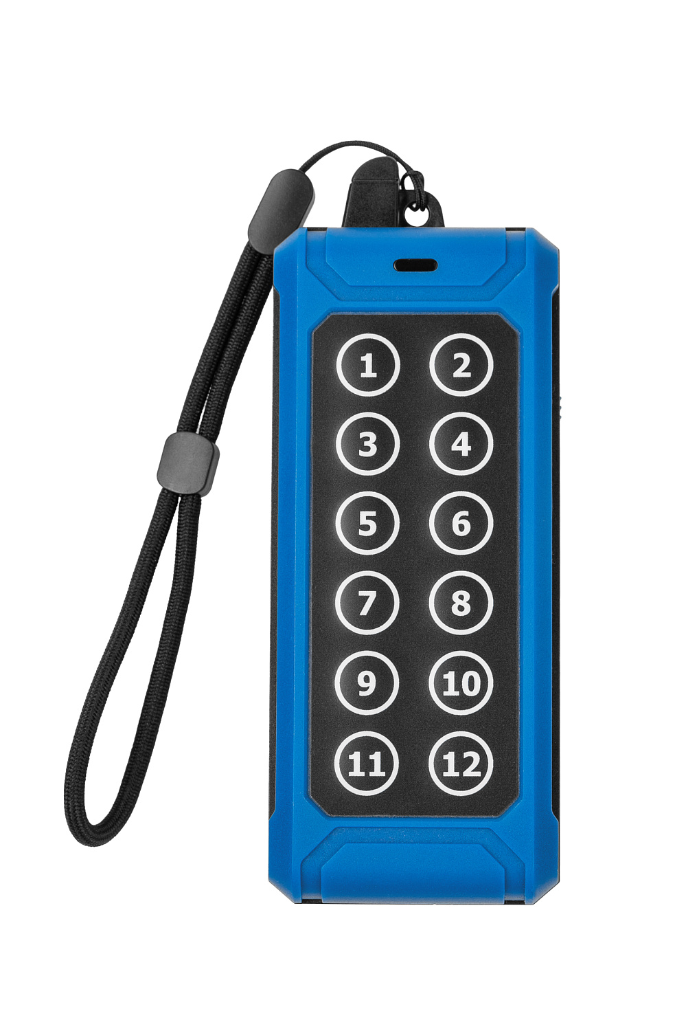 Пульт радиоуправления MICRON